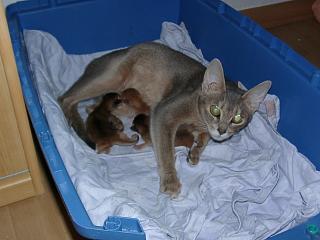 10110003.JPG (14063 Byte)