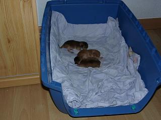 10110004.JPG (12686 Byte)