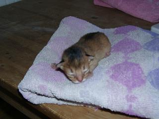 10120002.JPG (12373 Byte)