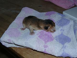 10120003.JPG (15509 Byte)