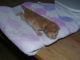 10120006.JPG (13395 Byte)