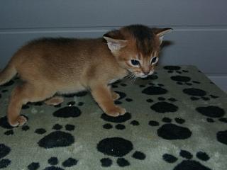 11020007.JPG (11263 Byte)