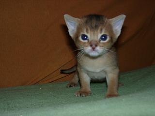 11020010.JPG (8043 Byte)