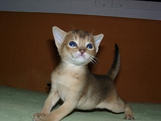 11020016.JPG (8164 Byte)