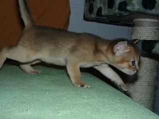 11020020.JPG (12804 Byte)