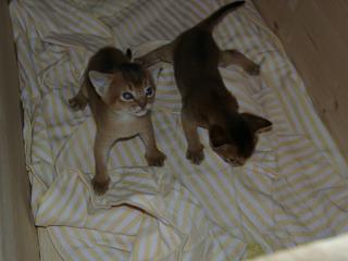 11020030.JPG (11002 Byte)