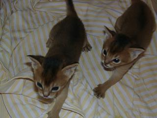 11020033.JPG (11692 Byte)