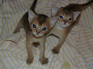 11020034.JPG (12284 Byte)