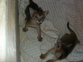 11020035.JPG (11342 Byte)