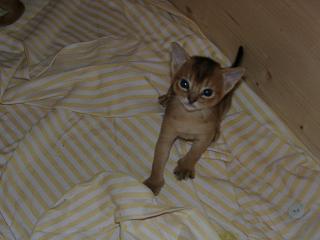 11020038.JPG (10607 Byte)