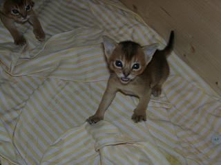 11020039.JPG (11276 Byte)