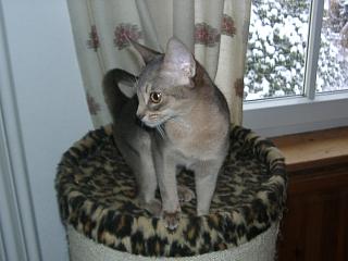 12180001.JPG (14062 Byte)