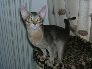 12180005.JPG (13429 Byte)