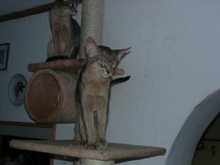 12180006.JPG (8242 Byte)