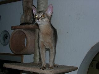 12180007.JPG (8651 Byte)