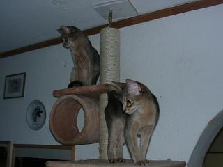 12180009.JPG (9221 Byte)