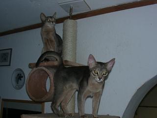 12180010.JPG (9078 Byte)