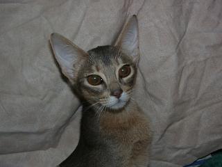 12230002.jpg (10313 Byte)