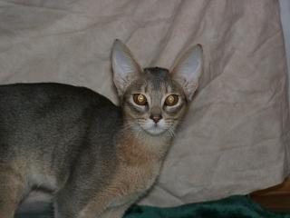 12230008.jpg (9717 Byte)