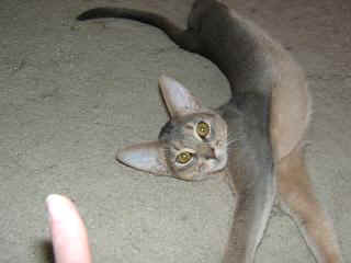 12230024.jpg (11866 Byte)