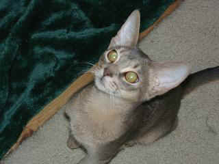 12230028.jpg (13227 Byte)