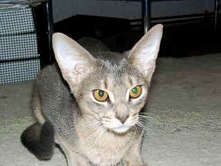 12230032.jpg (15645 Byte)