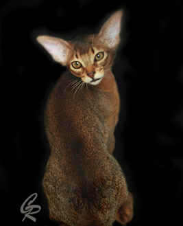 BatonRougeLamenti[1].jpg (54899 Byte)