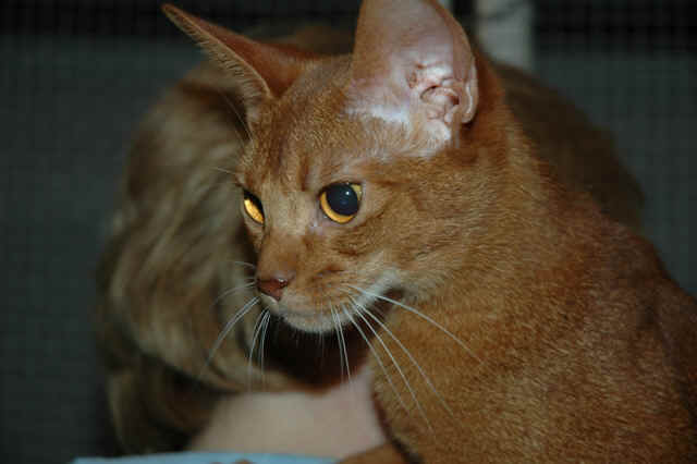 DH000114.JPG (182091 Byte)