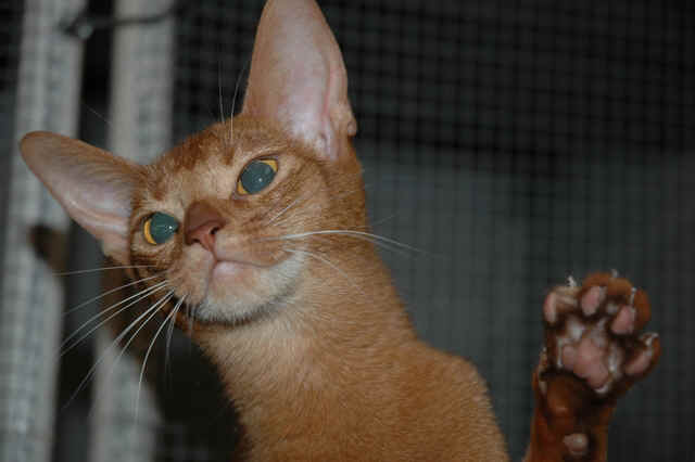 DH000117.JPG (20357 Byte)