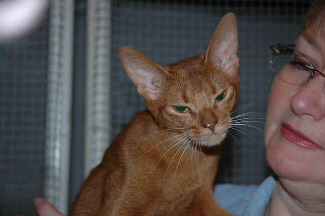 DH000119.JPG (167787 Byte)