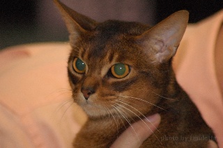 DSC_5477.jpeg (26600 Byte)