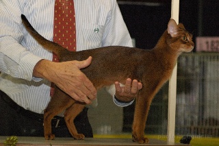 DSC_5804.jpeg (34673 Byte)