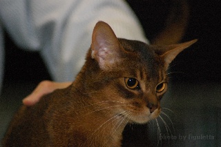 DSC_5812.jpeg (28114 Byte)