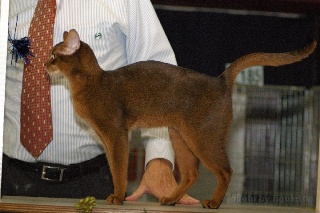 DSC_5814.jpeg (34581 Byte)