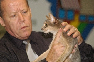 DSC_5932.jpeg (30655 Byte)