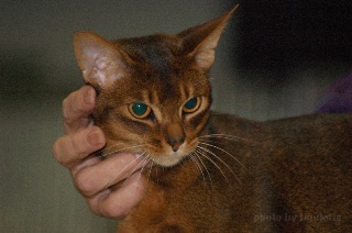 DSC_6203.jpeg (28961 Byte)