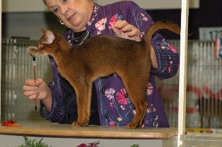 DSC_6208.jpeg (38129 Byte)