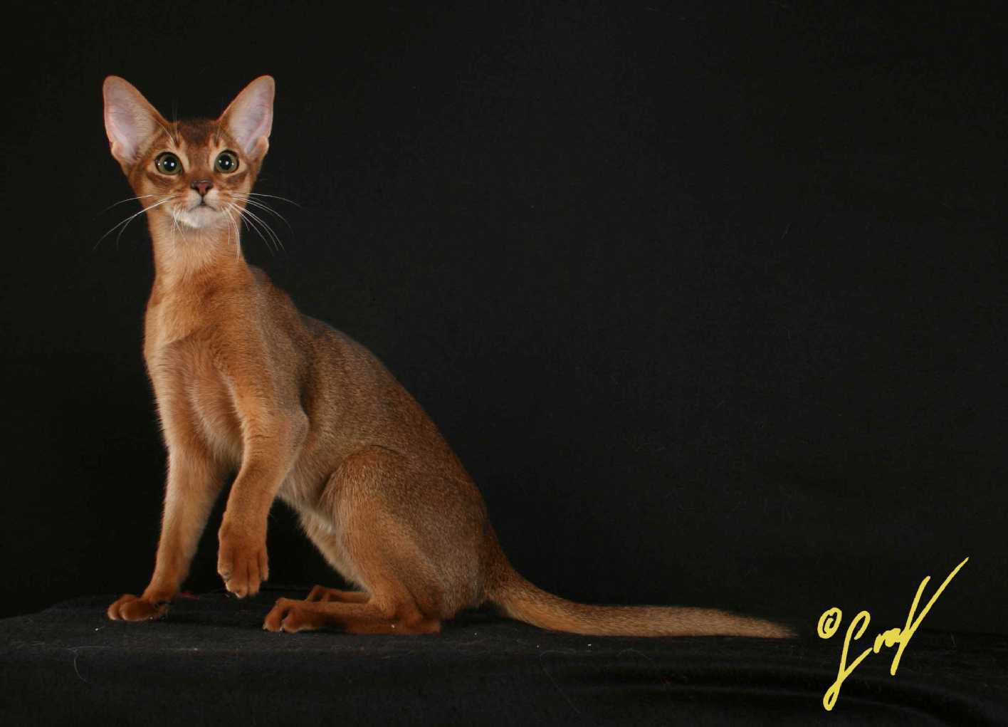 IMG_5848.JPG (617829 Byte)