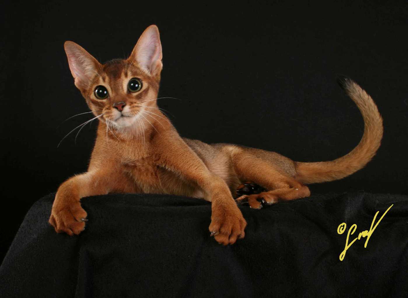 IMG_5860.JPG (766874 Byte)