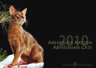 Kalender_2010.jpg (18569 Byte)