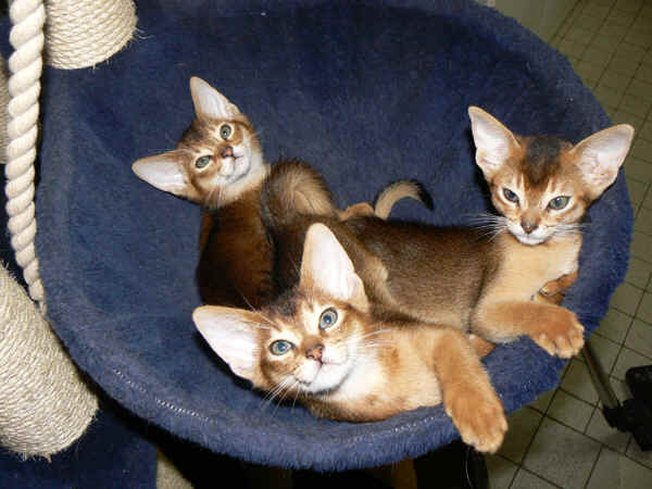 wpeB.jpg (30754 Byte)