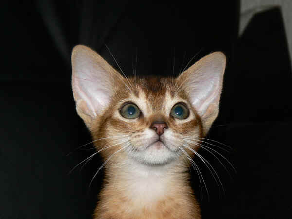 wpe2.jpg (18104 Byte)