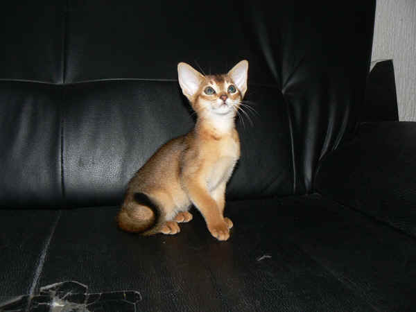 wpe3.jpg (17859 Byte)