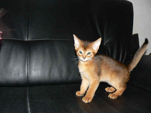 wpe6.jpg (19759 Byte)