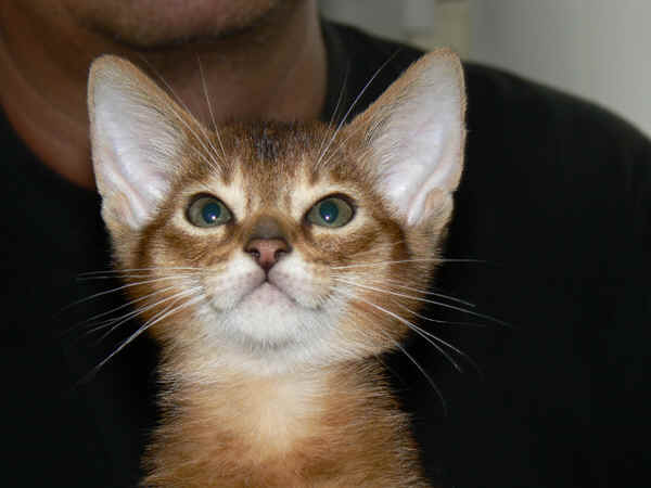 wpe7.jpg (21373 Byte)