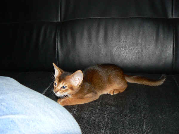 wpe9.jpg (21228 Byte)