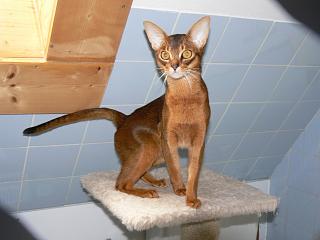 P1000347.JPG (11746 Byte)