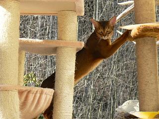 P1000369.JPG (22770 Byte)