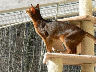 P1000378.JPG (22529 Byte)