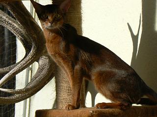 P1000392.JPG (16800 Byte)